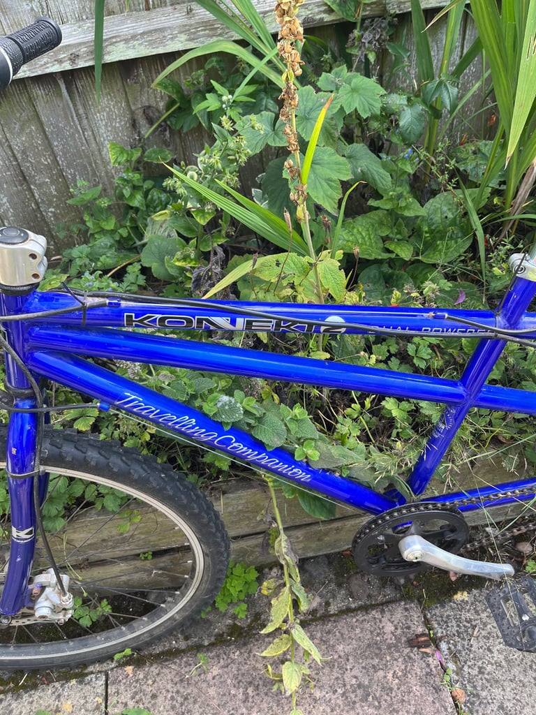 Electric tandem