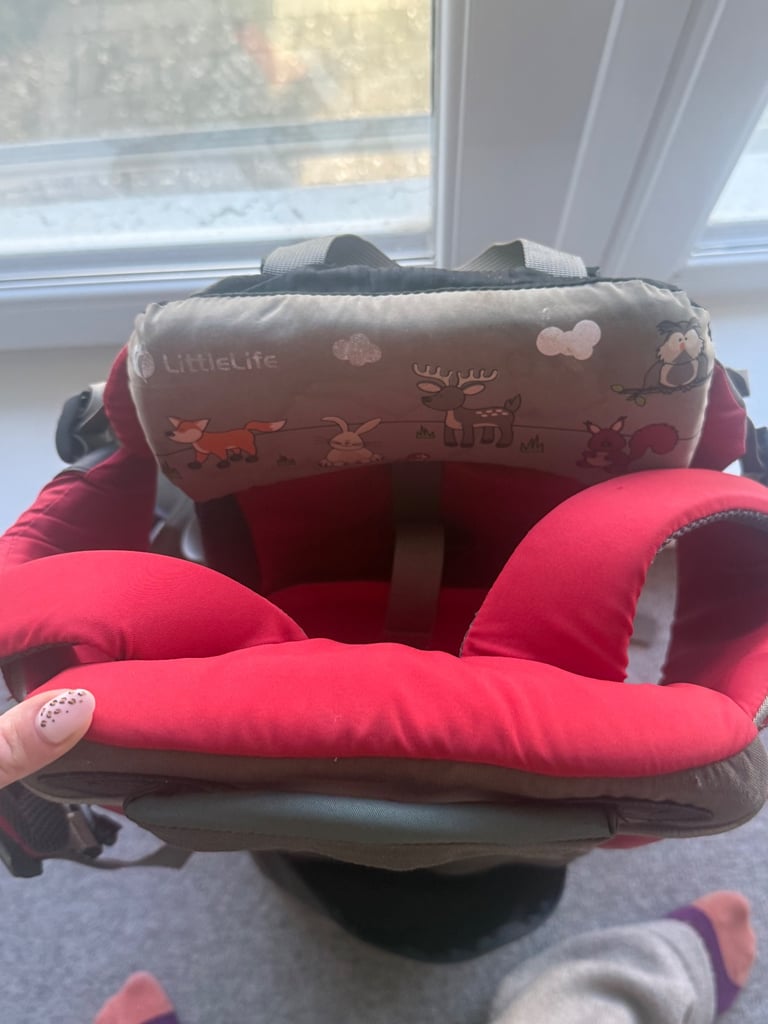 LittleLife Child Carrier with Carry Case and Sunshade