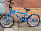 BMX, x rated Quarter kids bike