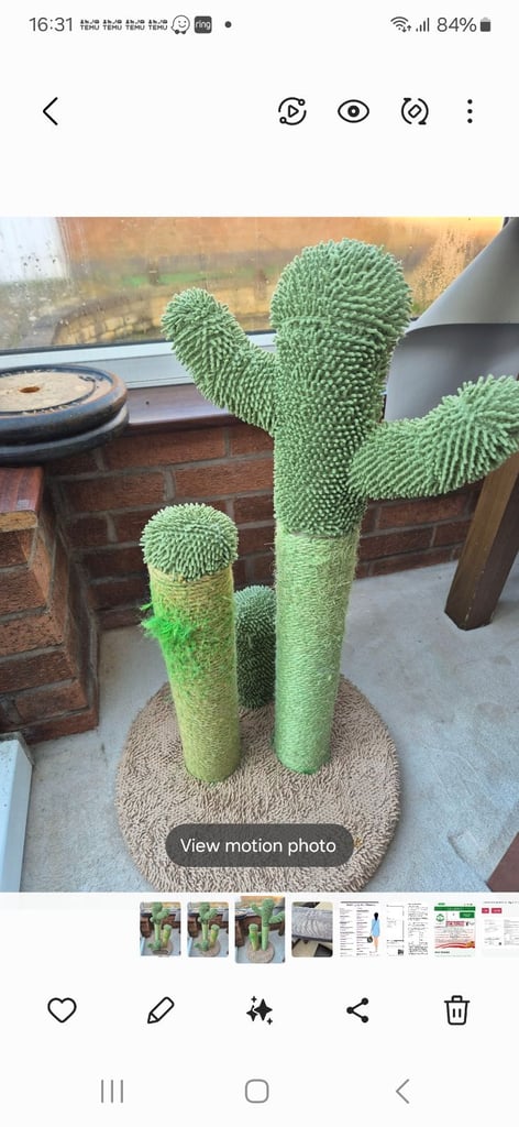 Cat scratcher 