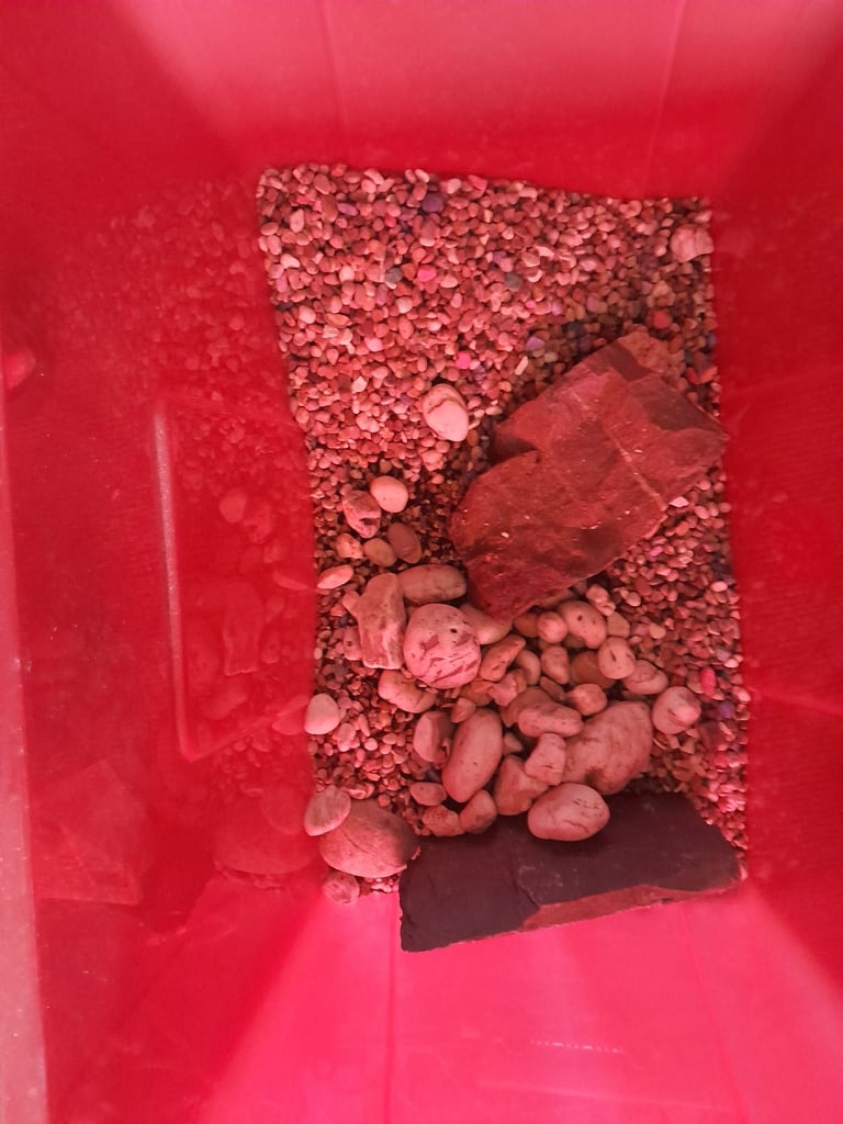 image for Indoor fish tank accessories 