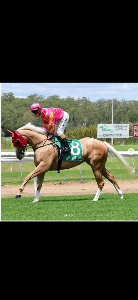 Horse racing equipment 