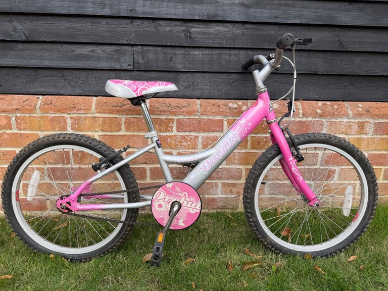 Probike Child’s Bike Framsize 11