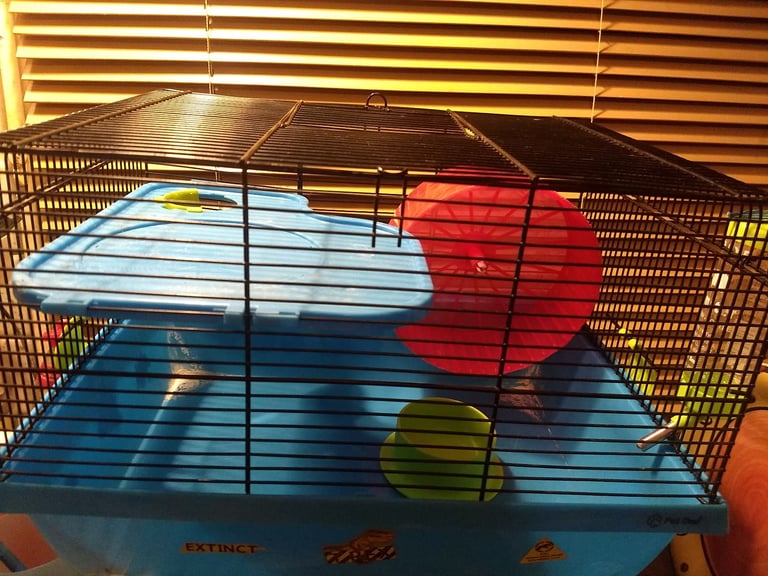image for Hamster/Gerbil/pet cage (40x30x28cm)