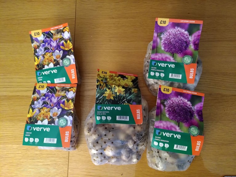 image for Daffodil, Crocus, & Allium bulbs 