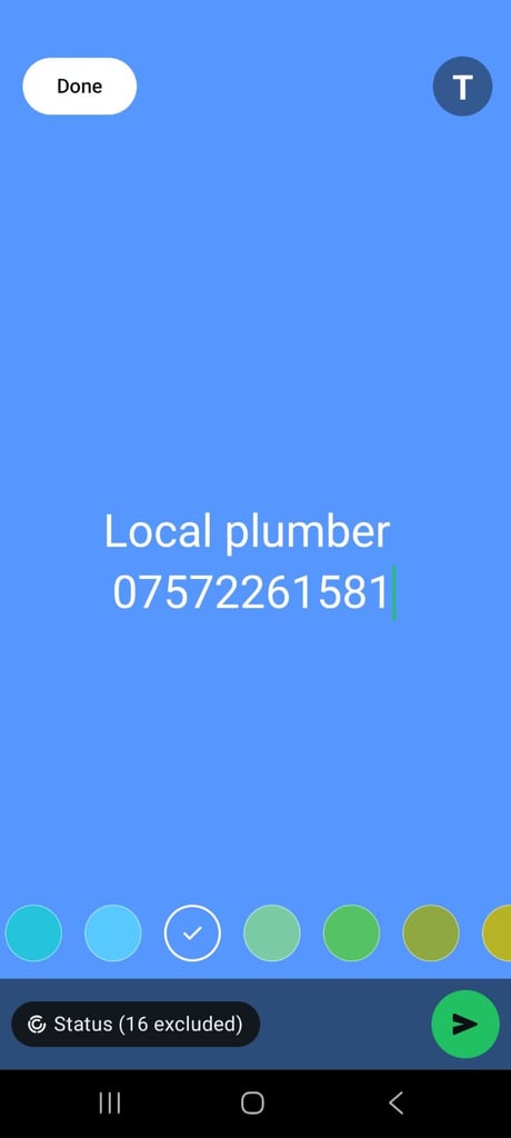 image for Local plumber