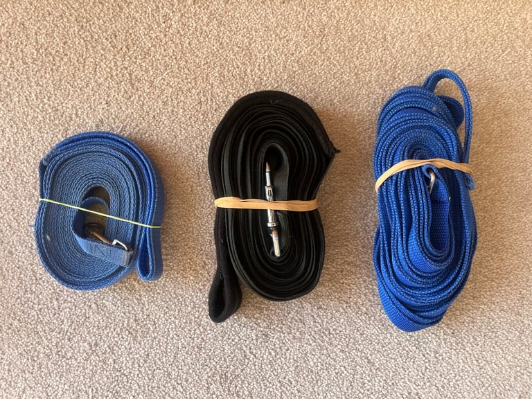 Puppy/dog training leads 