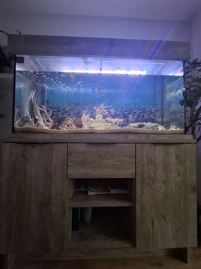 Fish tank and cabjnet 