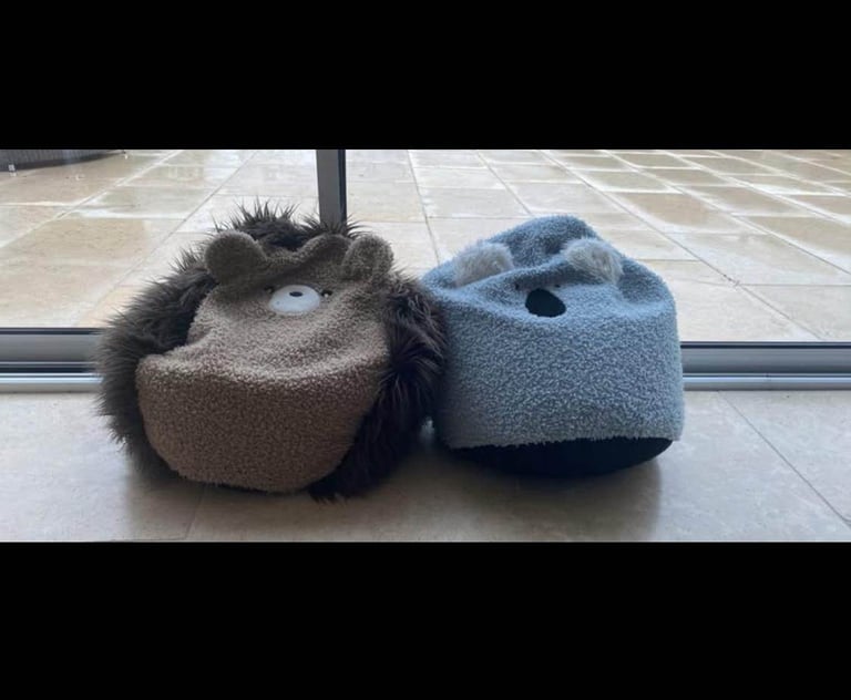 Kids beanbags (Bear & Koala) 