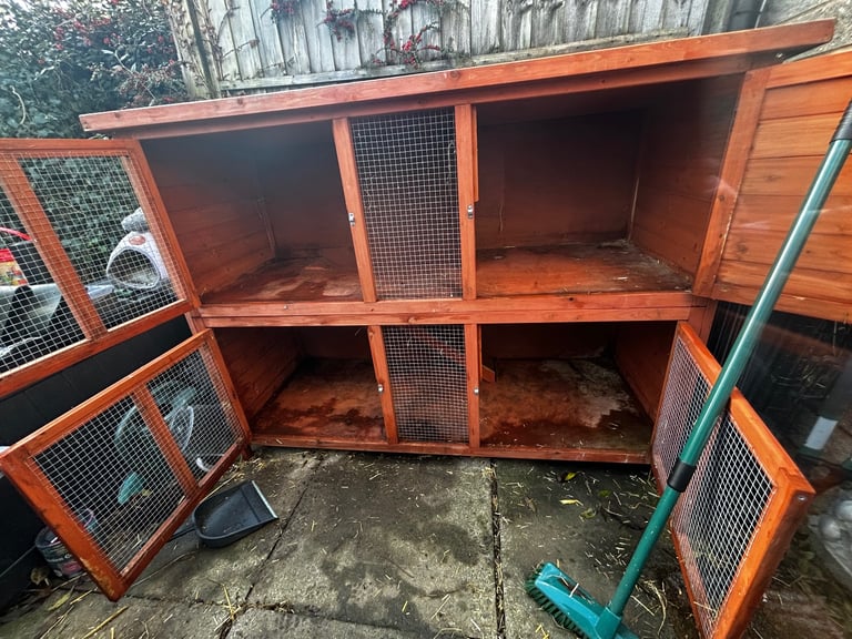 Bluebell Double Hutch with ramp from Dunelm