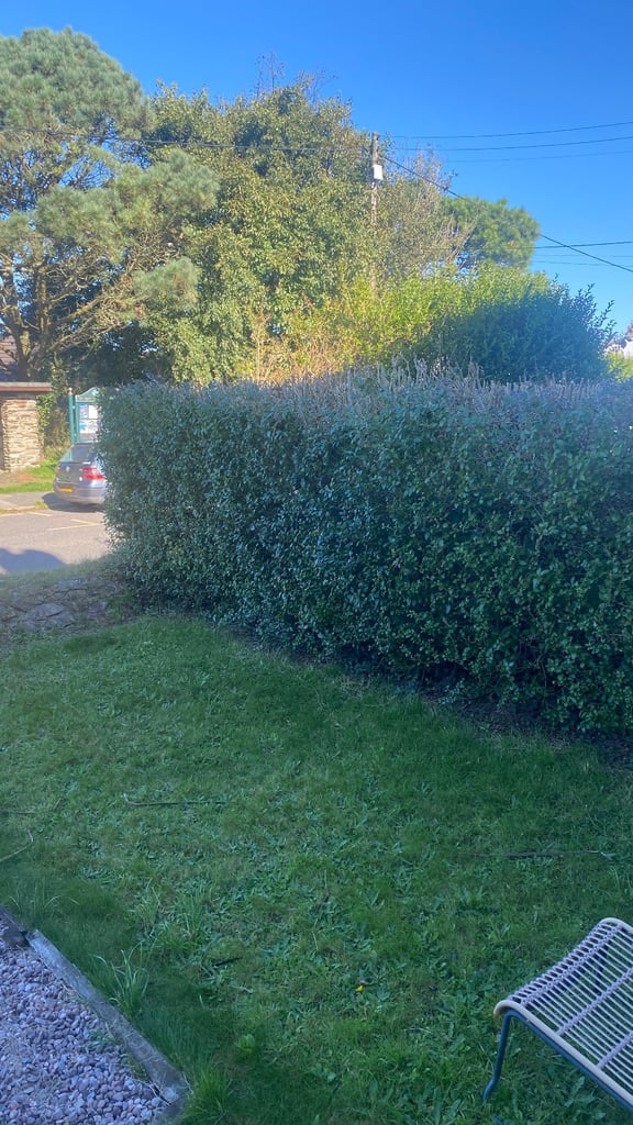 Cornwall to Islington or Greater London