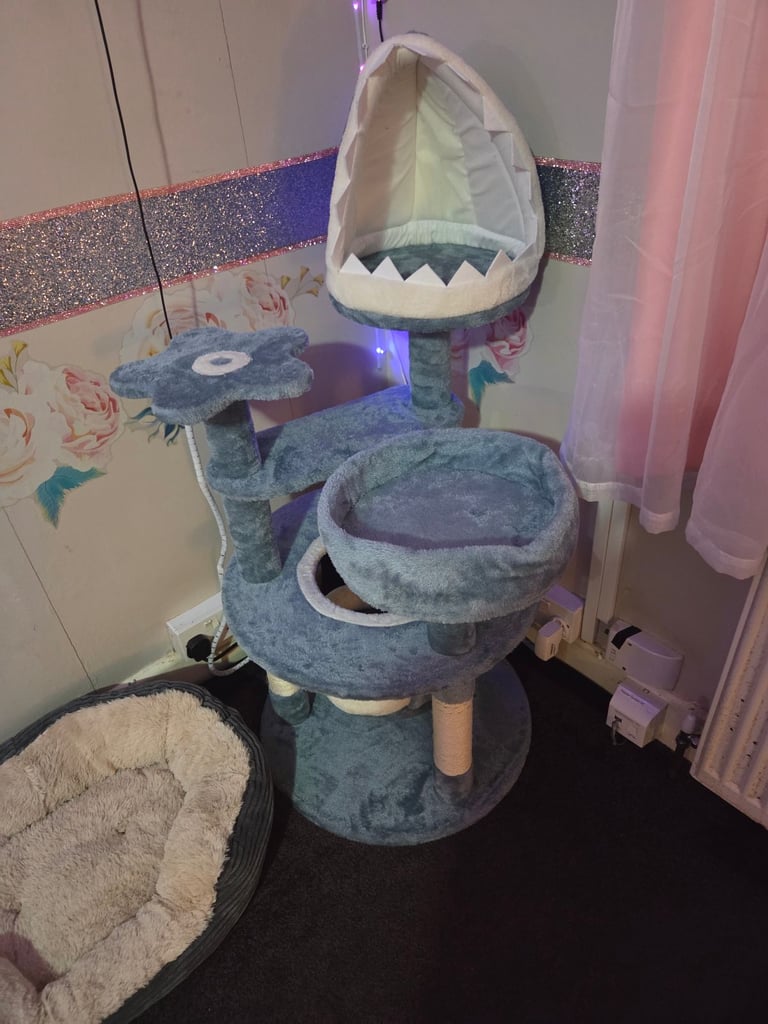 Brand new cat tree 