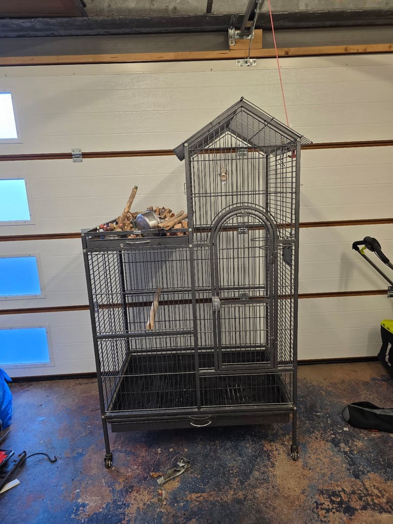 Parrot cage 