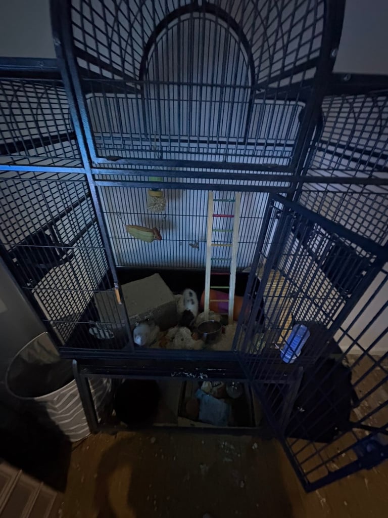 Rat cage and accessories 