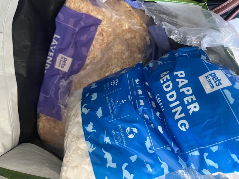 Hamster with wood & bedding