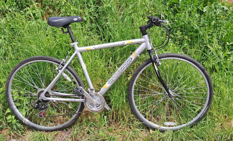 Hybrid aluminium frame townbike 