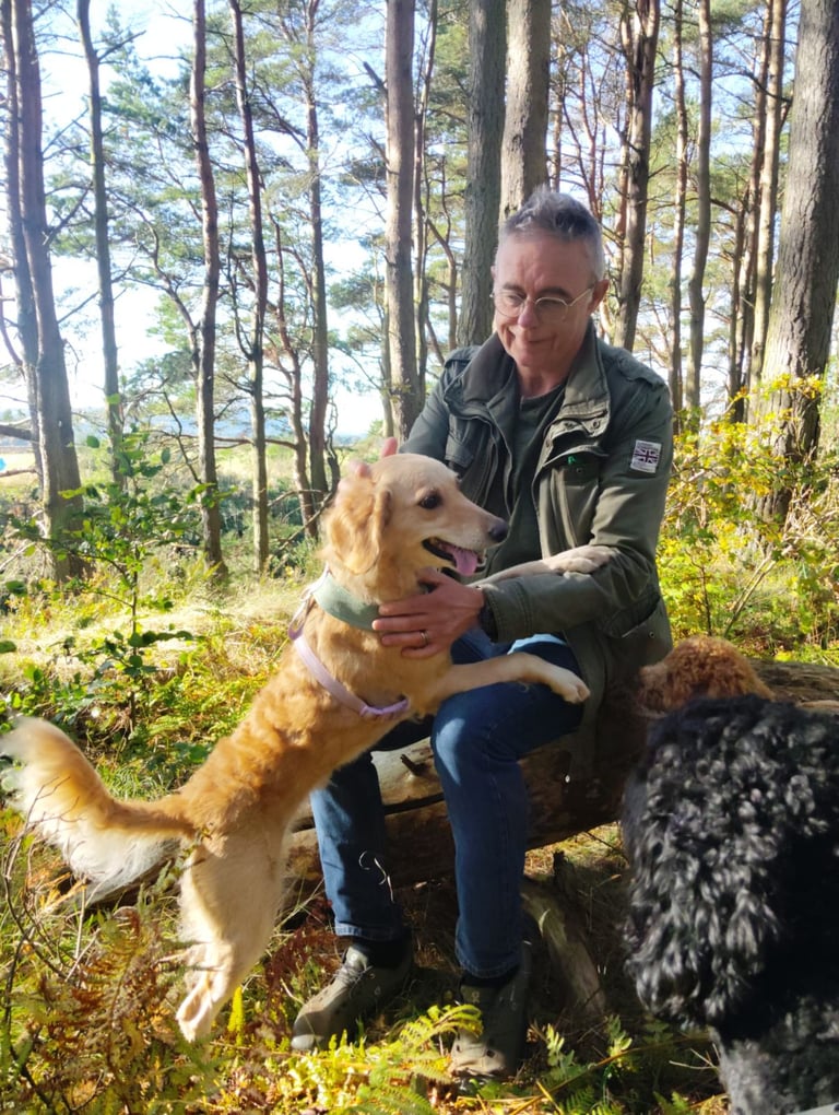 image for Cupar Canines 