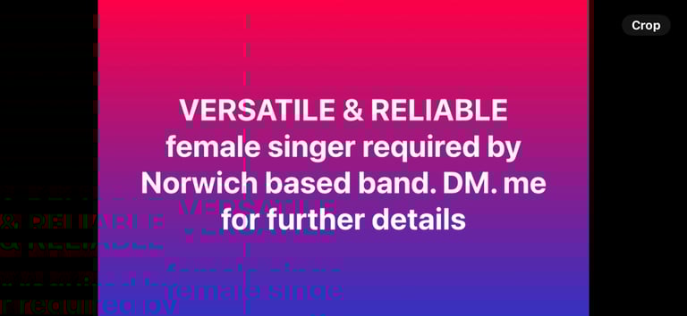 Band seeks reliable vocalist.