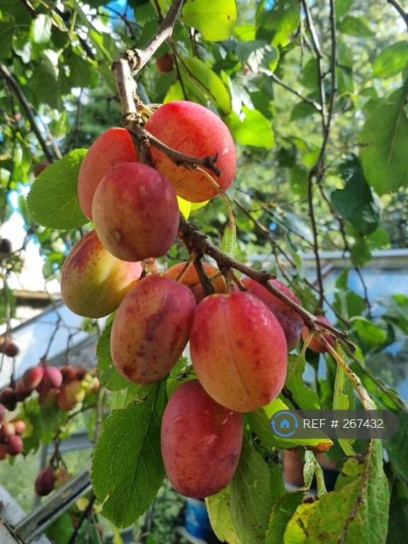 3 bedroom house in Fourwinds, Aberdeen, AB15 (3 bed) (#267432)