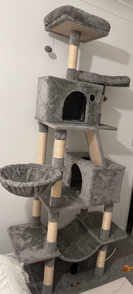 Free cat tree 