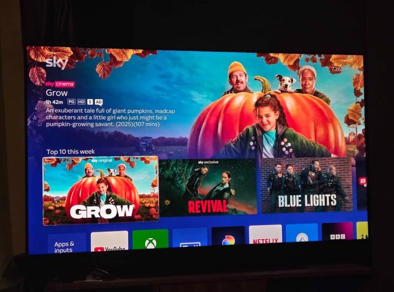 image for 65 inch sky glass tv good working order
