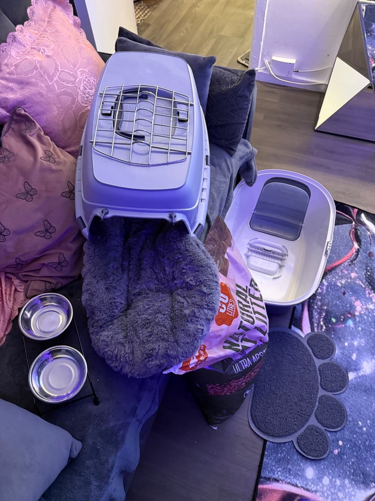 Cat/Kitten Accessories 