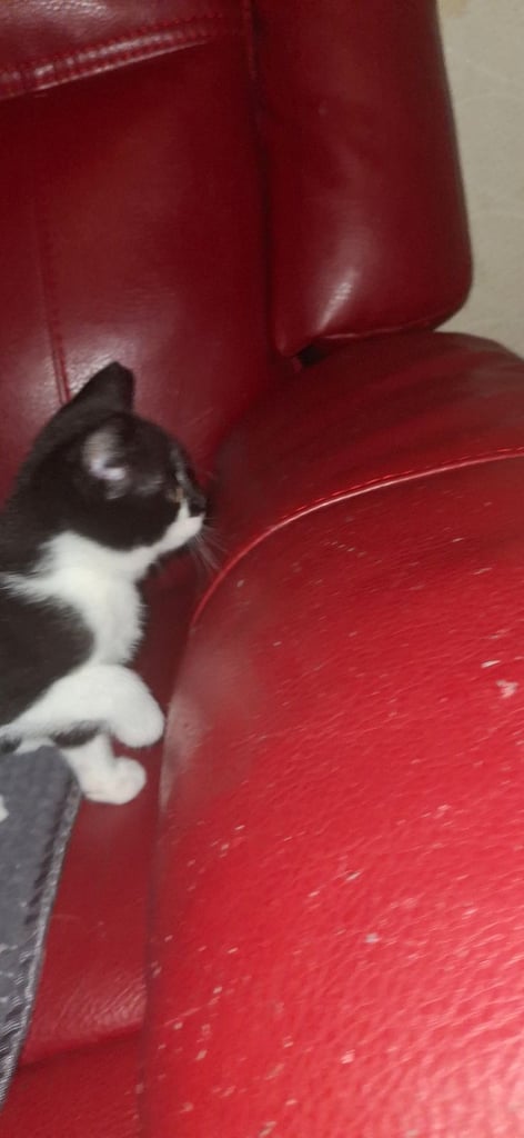 ready for a new home 