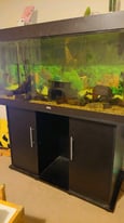 4ft Jewel fish tank 