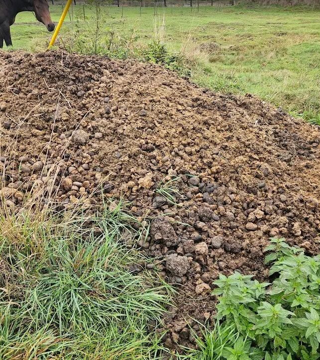 Horse organic aged manure for sale £5 per 50 liters bag