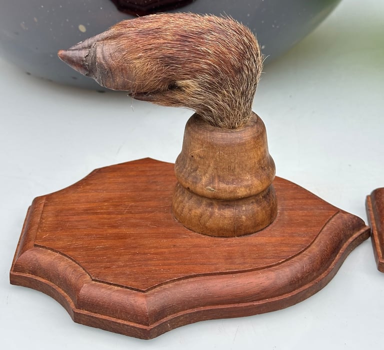 VINTAGE FRENCH TAXIDERMY WILD BOAR HOOVES COAT HOOKS, SANGLIER HOOF HUNTING RACK - WILL POST!