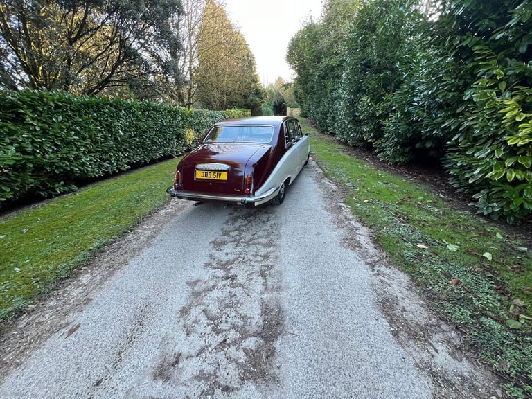 DAIMLER LIMOUSINE 4.2 1980
