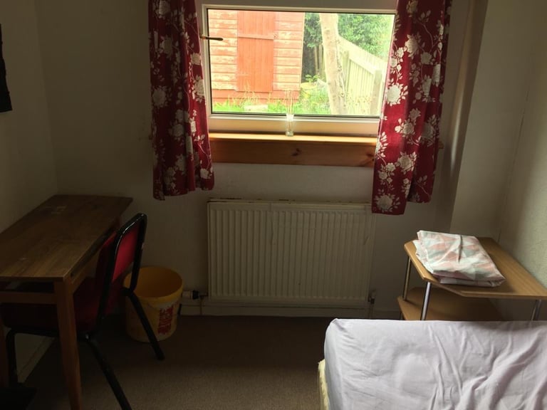 Single room to let 