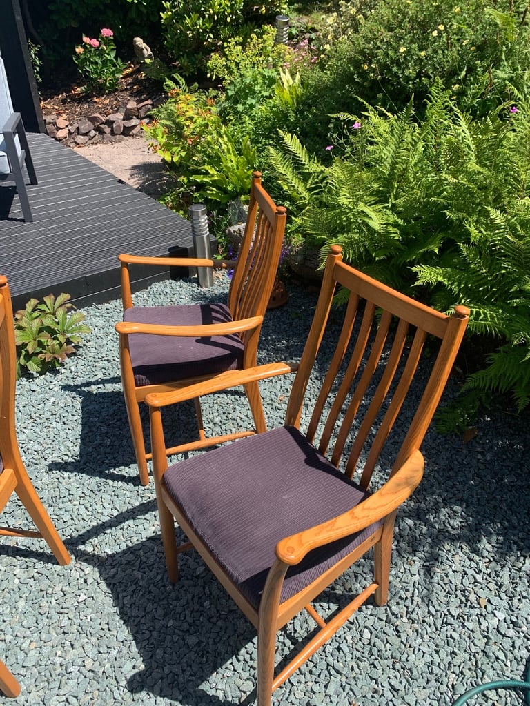 Ercol dinning chairs