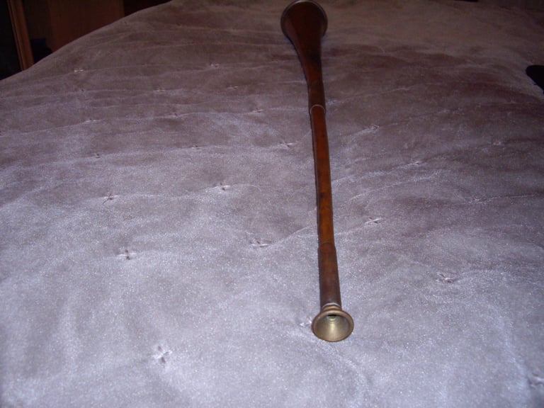Vintage horn 