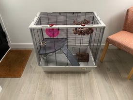 Rat cage and accessories 