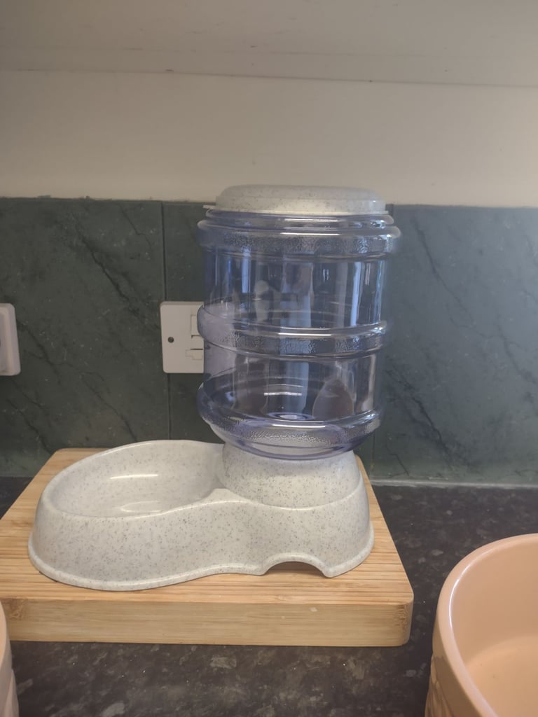 Dog dishes 