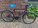 Red MTB Raleigh