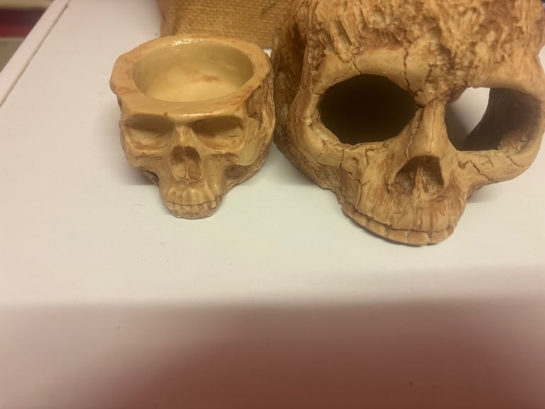 Tarantula Water Bowl + Hide