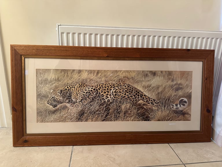 Large quality leopard pictures with copper mounted frame