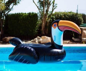 Inflatable pug and toucan for pool fun