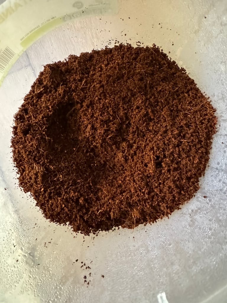 Coir compost / soil