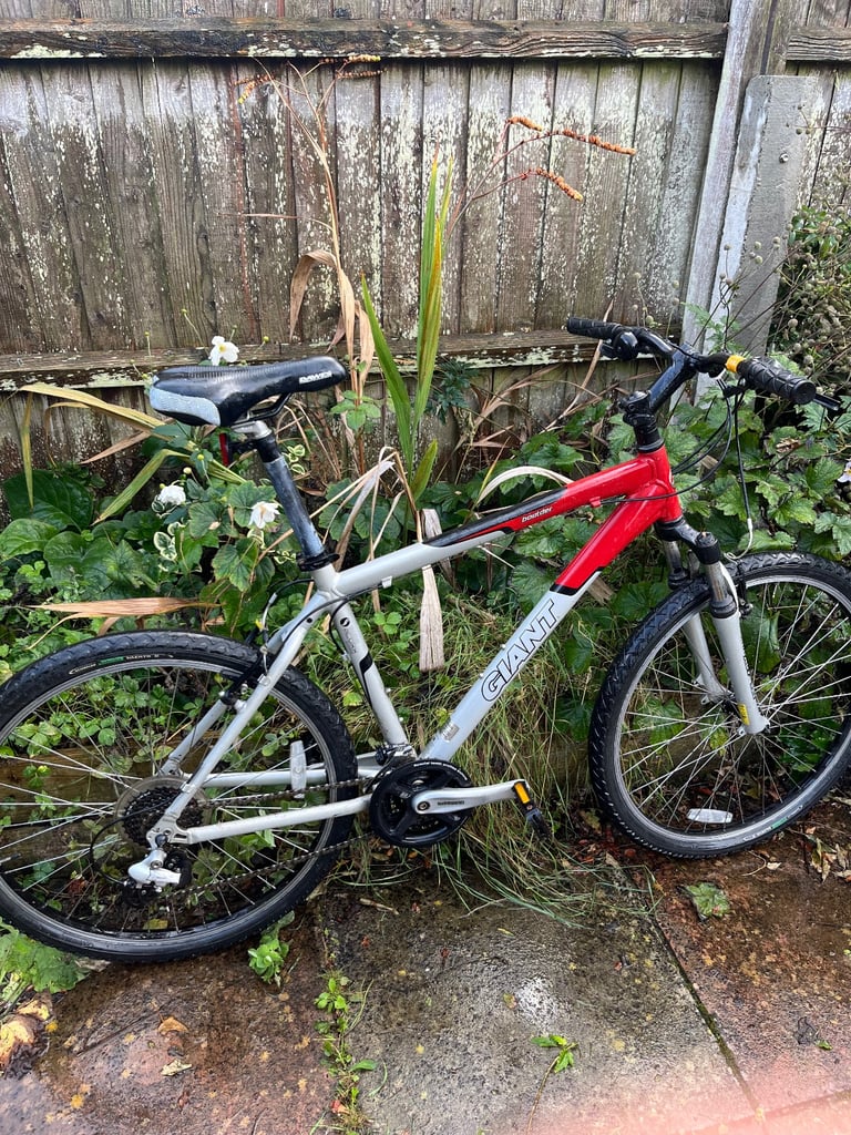 Bikes 