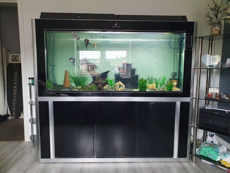 image for 6ft fish tank 