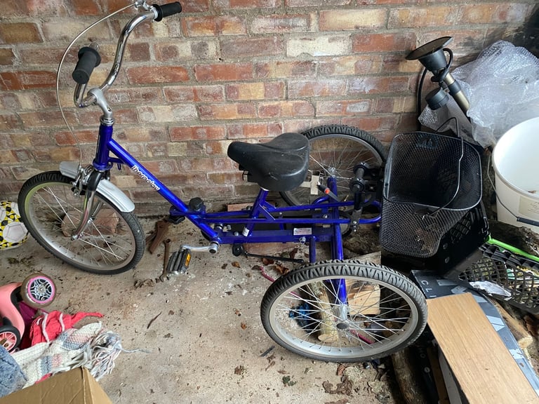 Trike Childs age 8/12 (at a guess) support