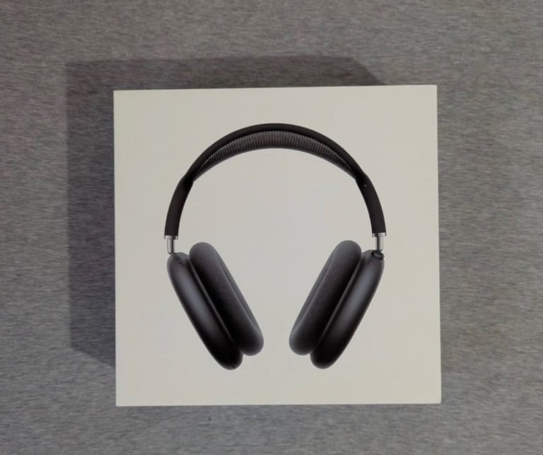 Apple headphones max