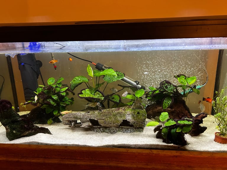160L Fish Tank & Oak Wood Stand 