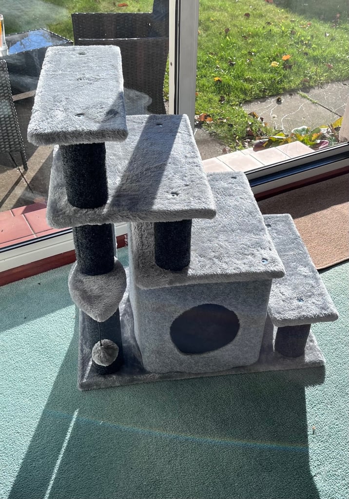 Cat Scratching Play Area 