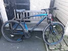 Mans cheap mounting bike ready to ride 