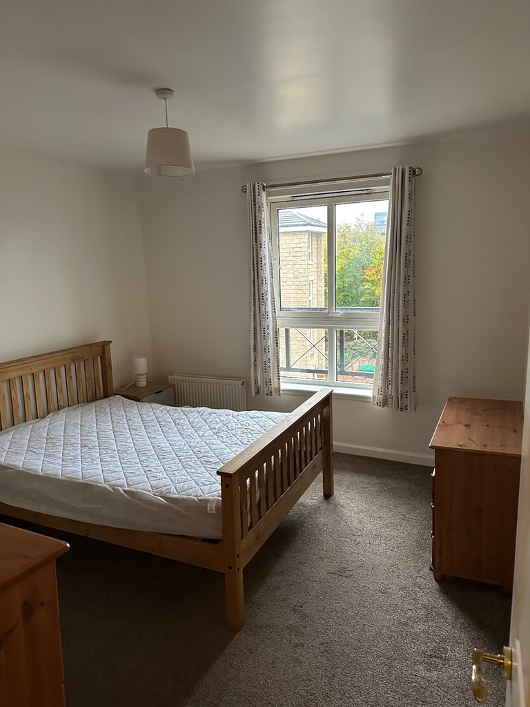 Excellent Location, Big Room Professional flatmates 