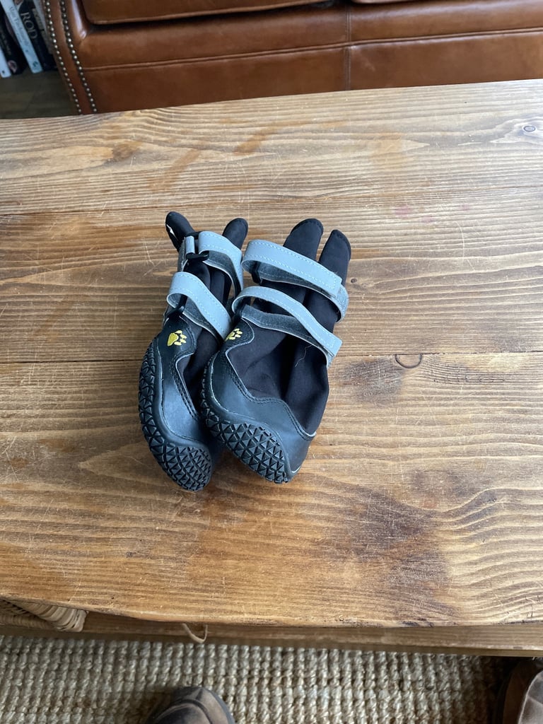 Dog Shoes